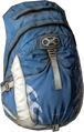 Hiking Backpack in DayZ - Thermal insulation stats